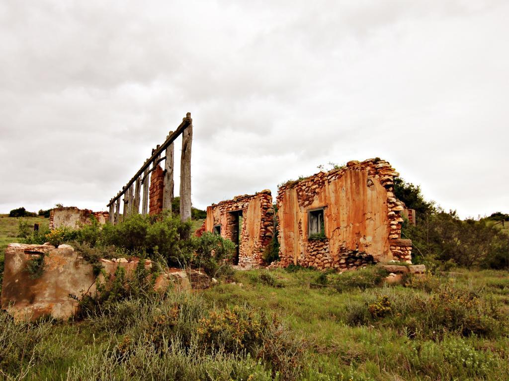 Hlosi Game Lodge - Amakhala Game Reserve Buyskloof Экстерьер фото