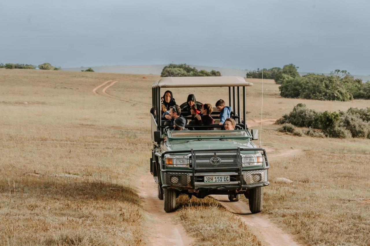 Hlosi Game Lodge - Amakhala Game Reserve Buyskloof Экстерьер фото