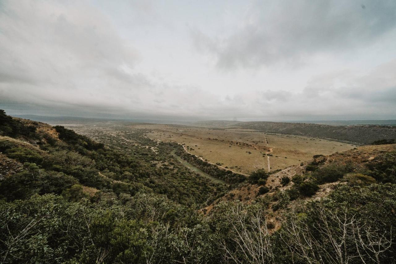 Hlosi Game Lodge - Amakhala Game Reserve Buyskloof Экстерьер фото