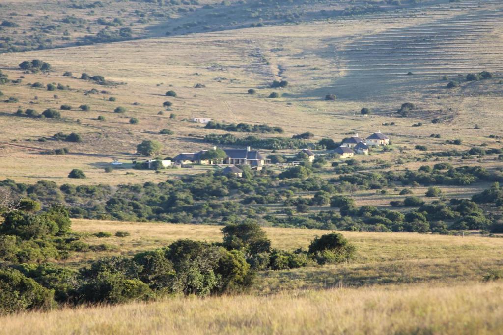 Hlosi Game Lodge - Amakhala Game Reserve Buyskloof Экстерьер фото